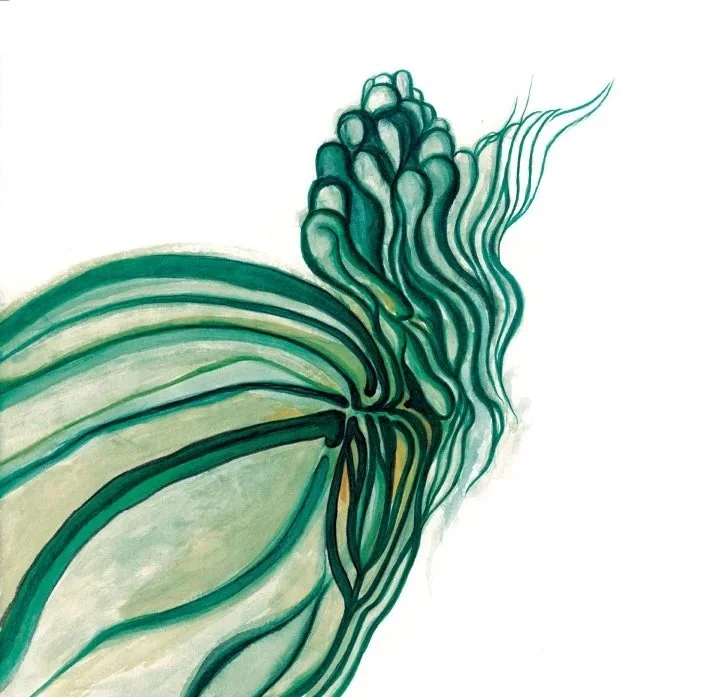 "Untitled" from Symmetry series (2012) | Watercolour on paper | 25cm x 25cm