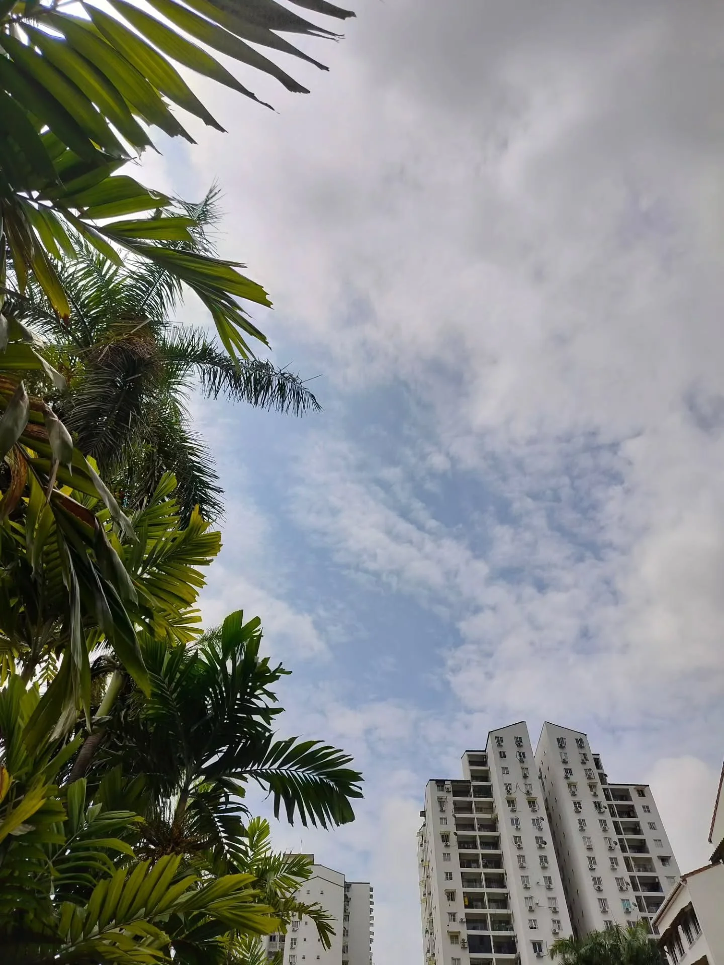 I see sky