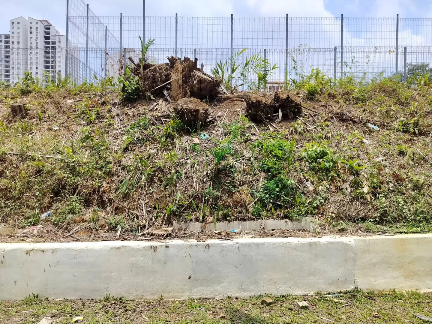 : From a recent trip to KL, I was fascinated by these scenes, while walking to the laundromat somewhere in Pantai Hillpark. 

They look like art installations.

Human garbage in the process of integrating with messy plant growth (and death ☠️ )and fu
