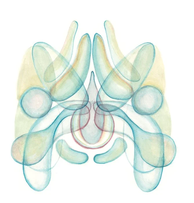 "Untitled" from Symmetry series (2012) | Watercolour on paper | 25cm x 25cm