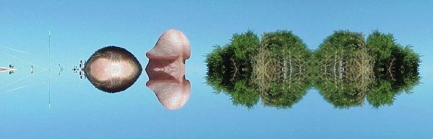 rose1.JPG
