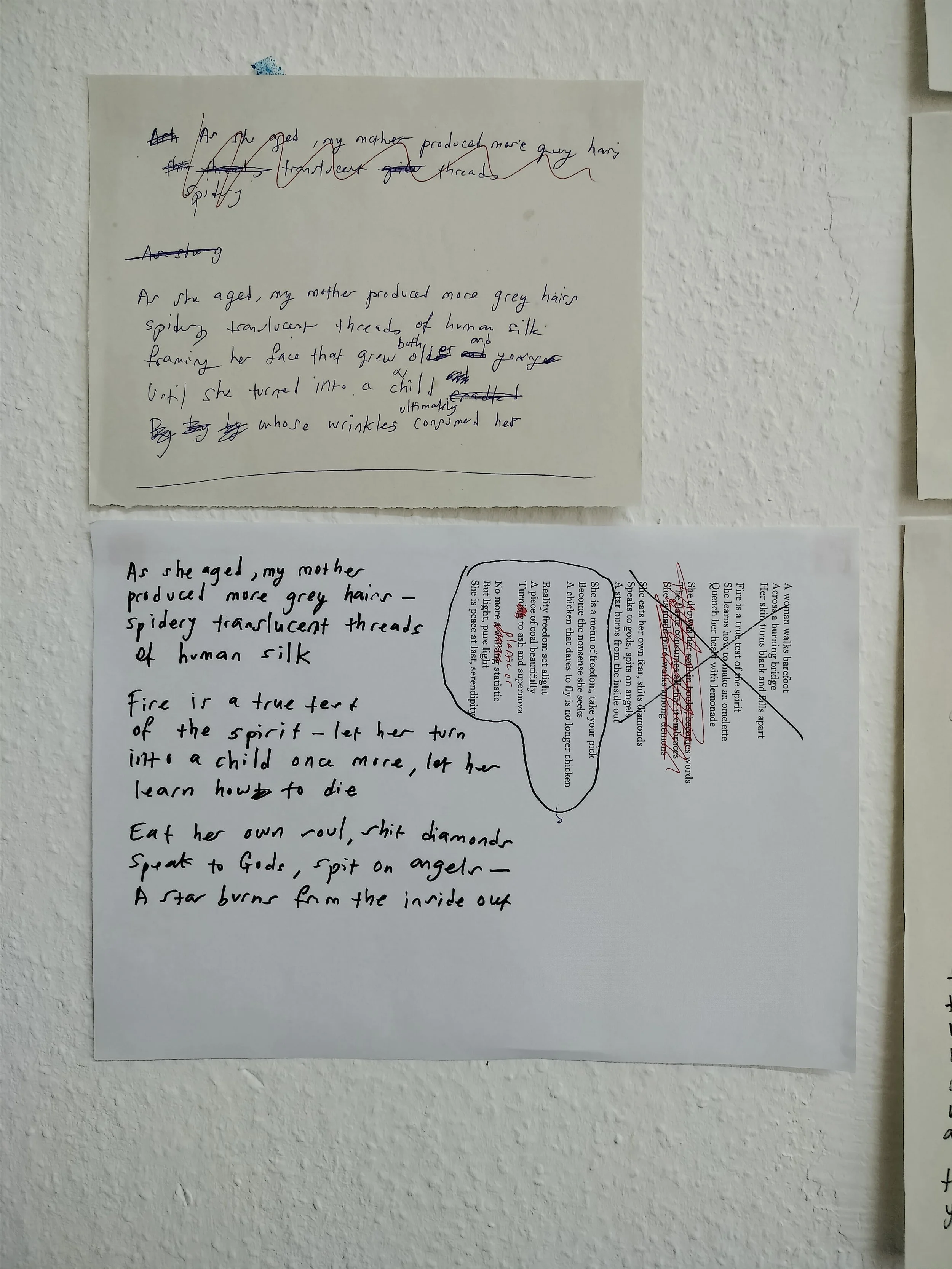 
Making of "Secret Life of Poetry" (2024) during basis e.V. Frankfurt residency