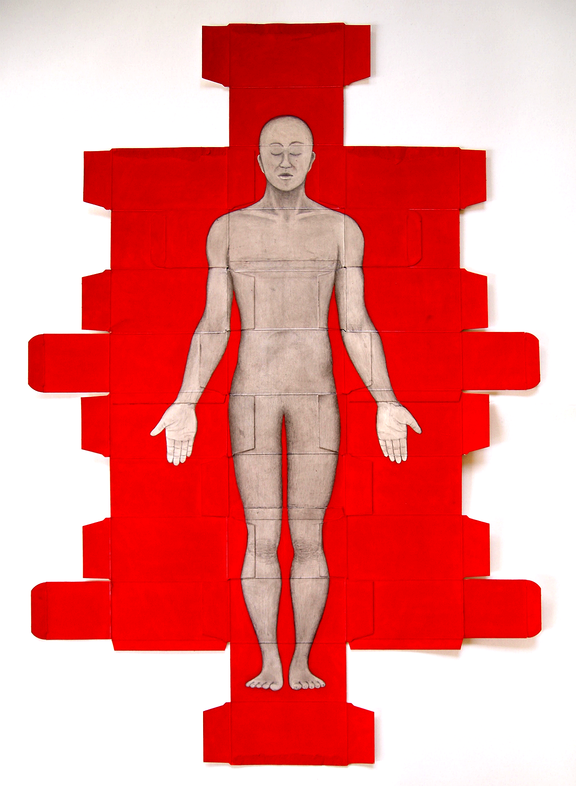 "The Internalised Self: Atlas" (2018) | Graphite and watercolour on HIV medication packaging | 79.5cm × 54.5cm | Singapore Art Museum collection