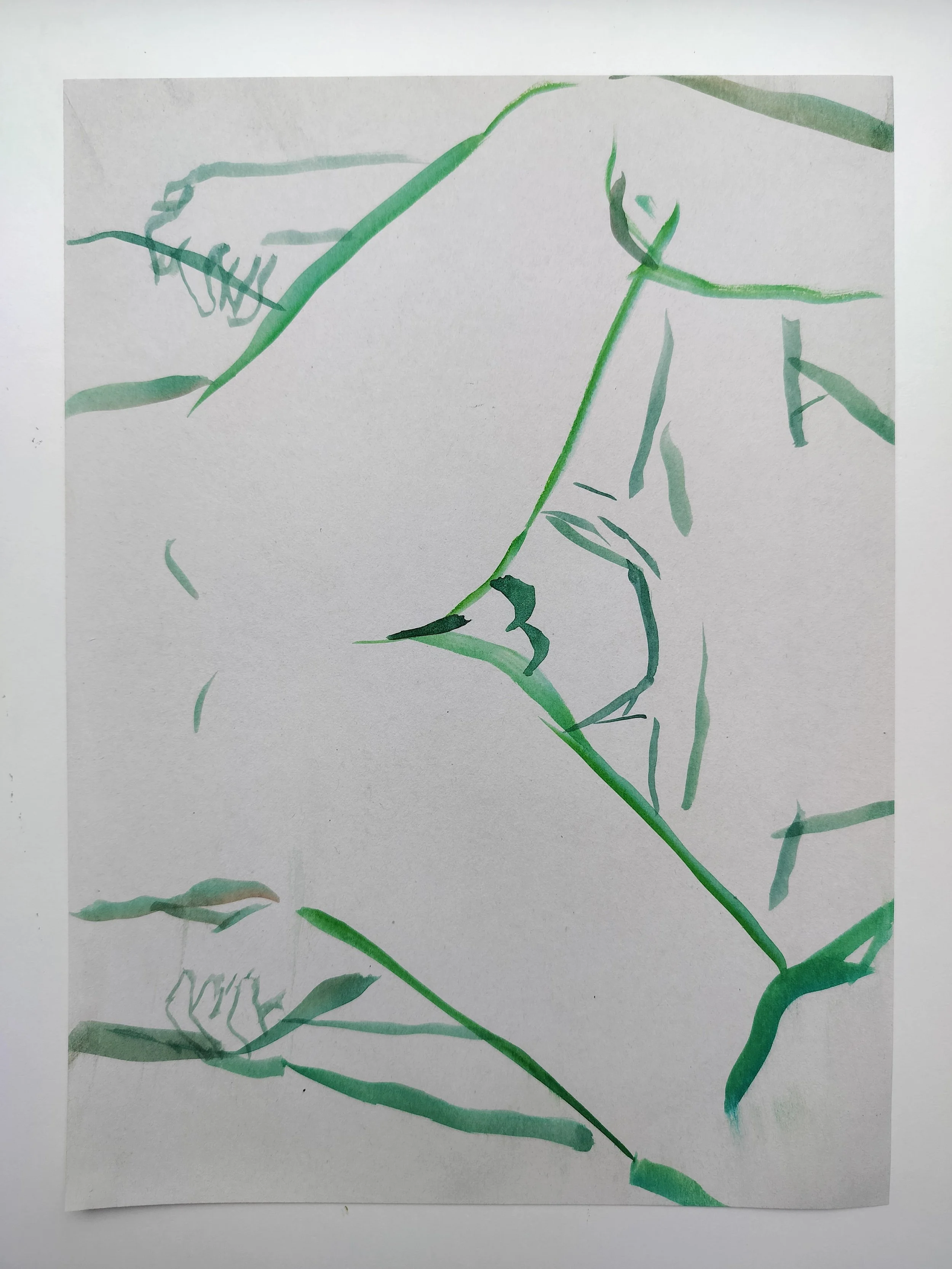 "100 Figures" (2024) 
Watercolour on recycled A4 paper
