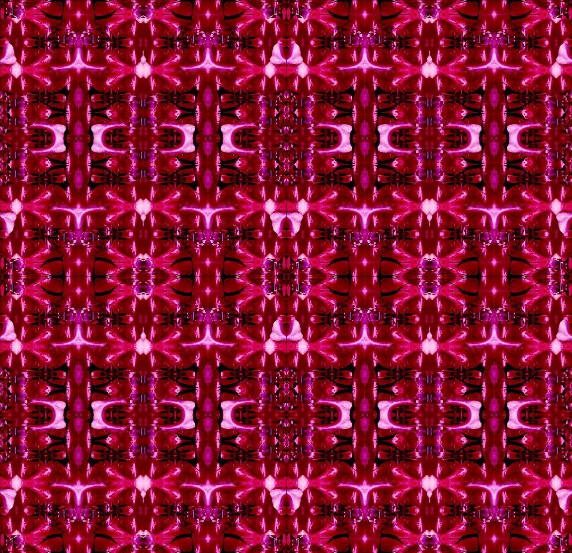 perfidium1 copypink1a.JPG