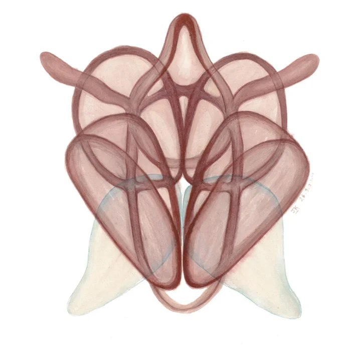 "Untitled" from Symmetry series (2012) | Watercolour on paper | 25cm x 25cm
