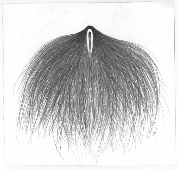 "Seed" (2016) | Graphite on cartridge paper