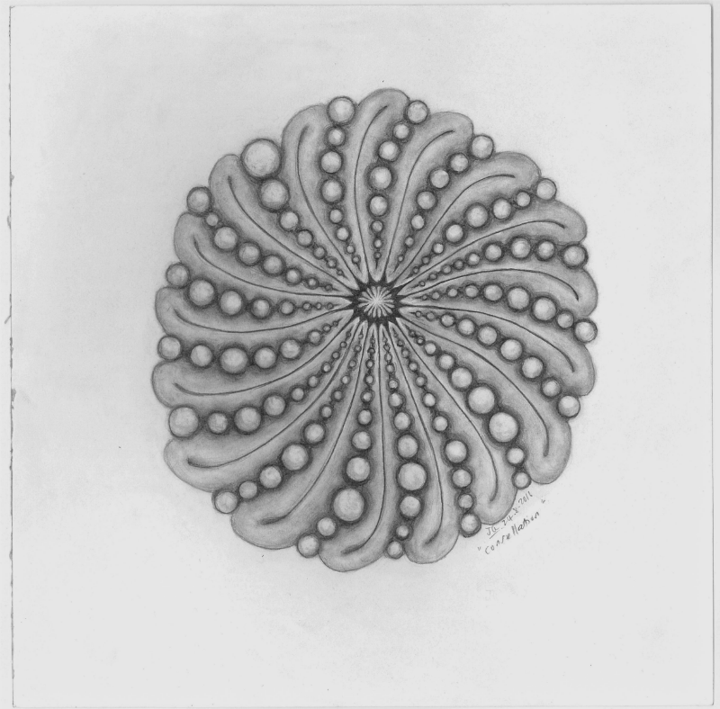 " Constellation" (2016) | Graphite on cartridge paper