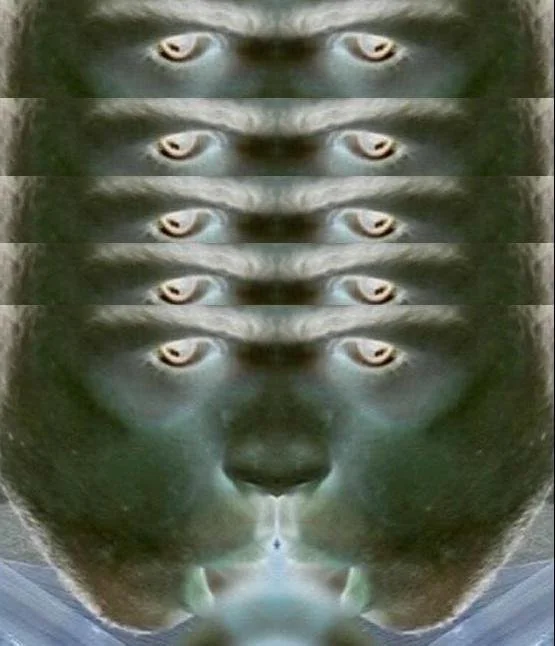 gip.JPG