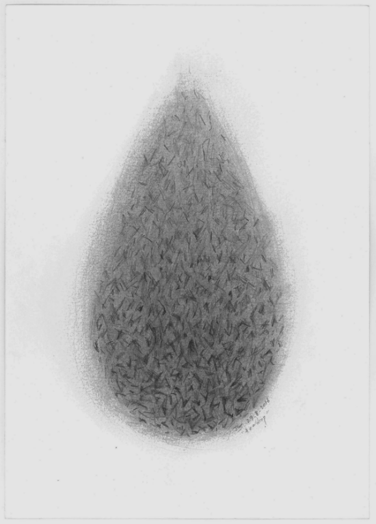 "Teardrop" (2016) | Graphite on cartridge paper