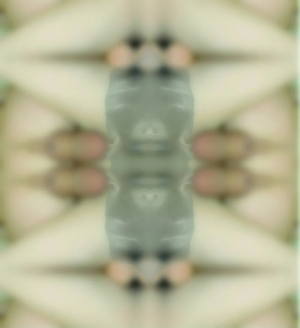 "Untitled" from Pornoshop series (2005)
Digitally manipulated pornographic image