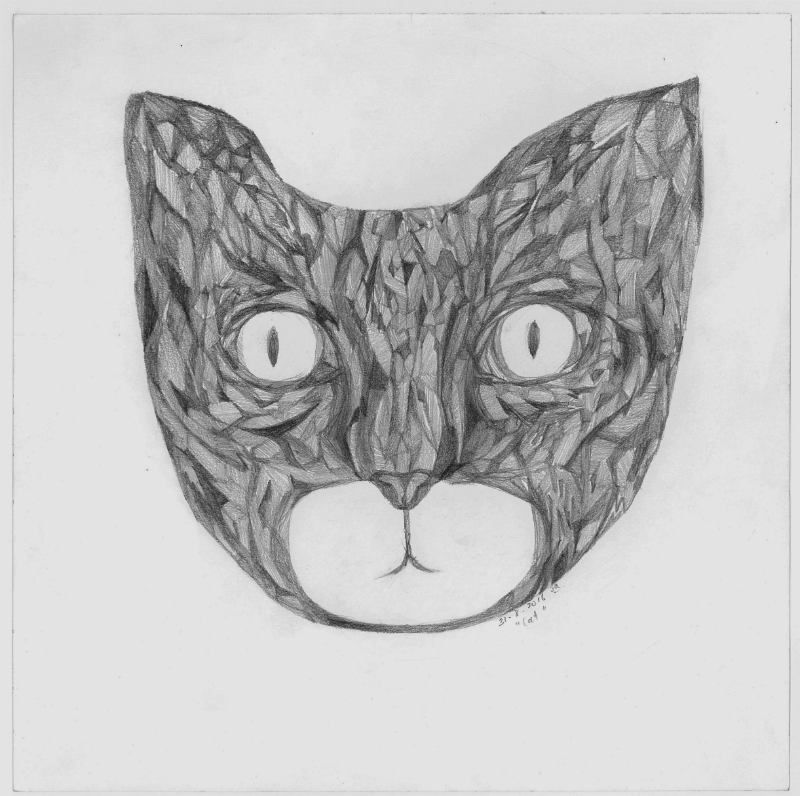 "Cat" (2016) | Graphite on cartridge paper