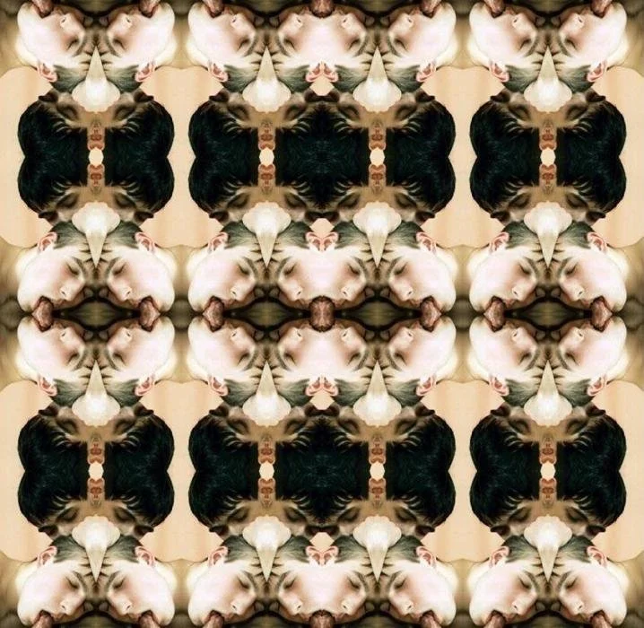 "Untitled" from Pornoshop series (2005)
Digitally manipulated pornographic image