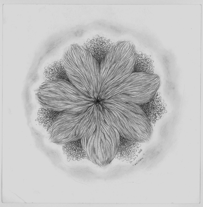 "Volcano" (2016) | Graphite on cartridge paper