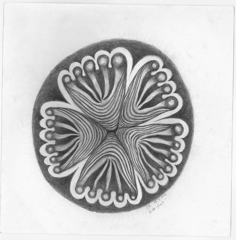 "Bitter Fruit" (2016) | Graphite on cartridge paper