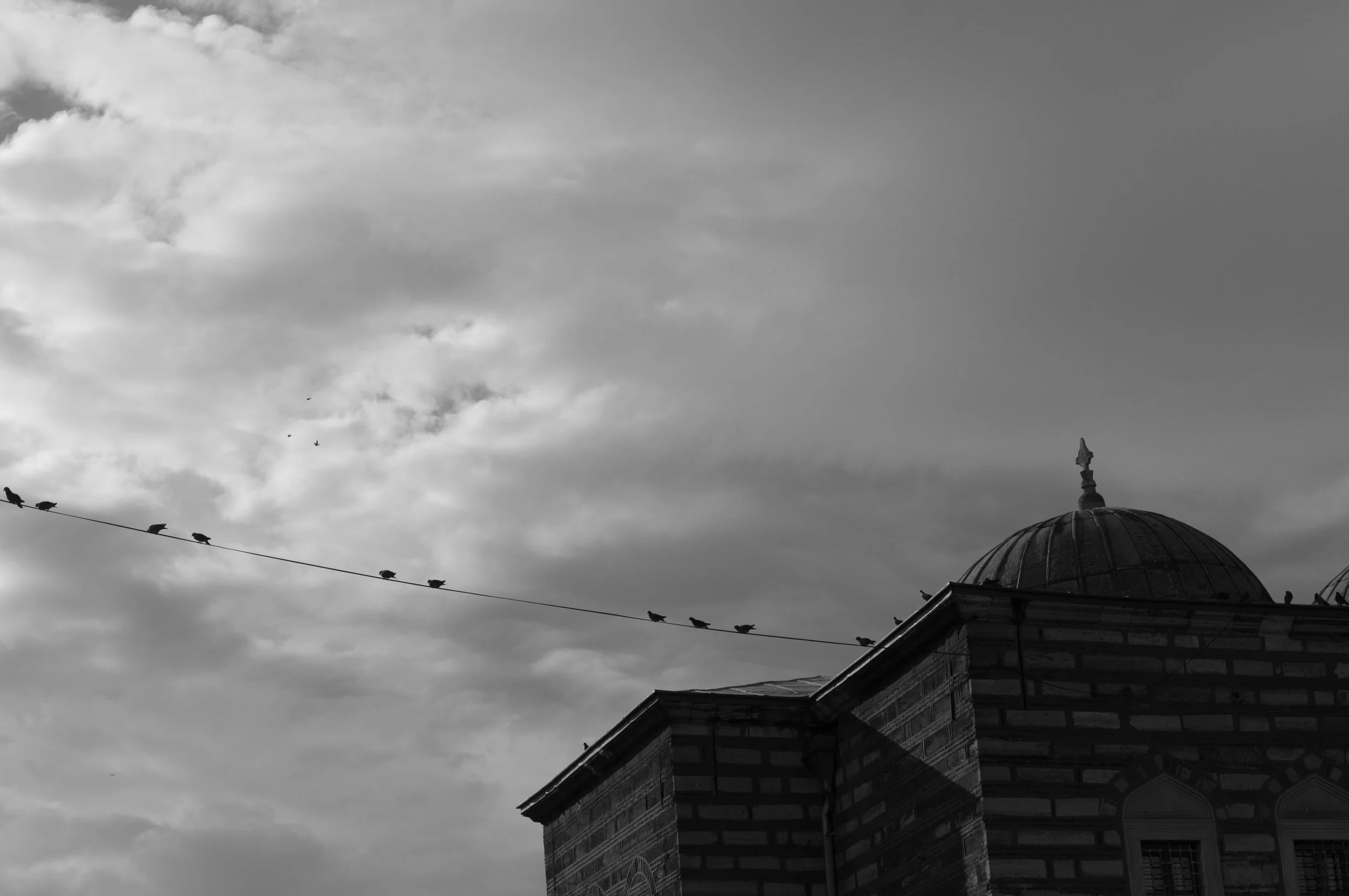 Black and white photo of a cloudy sky with a group of birds perched on a wire and flying in the distance near a building with a domed roof and a decorative finial.