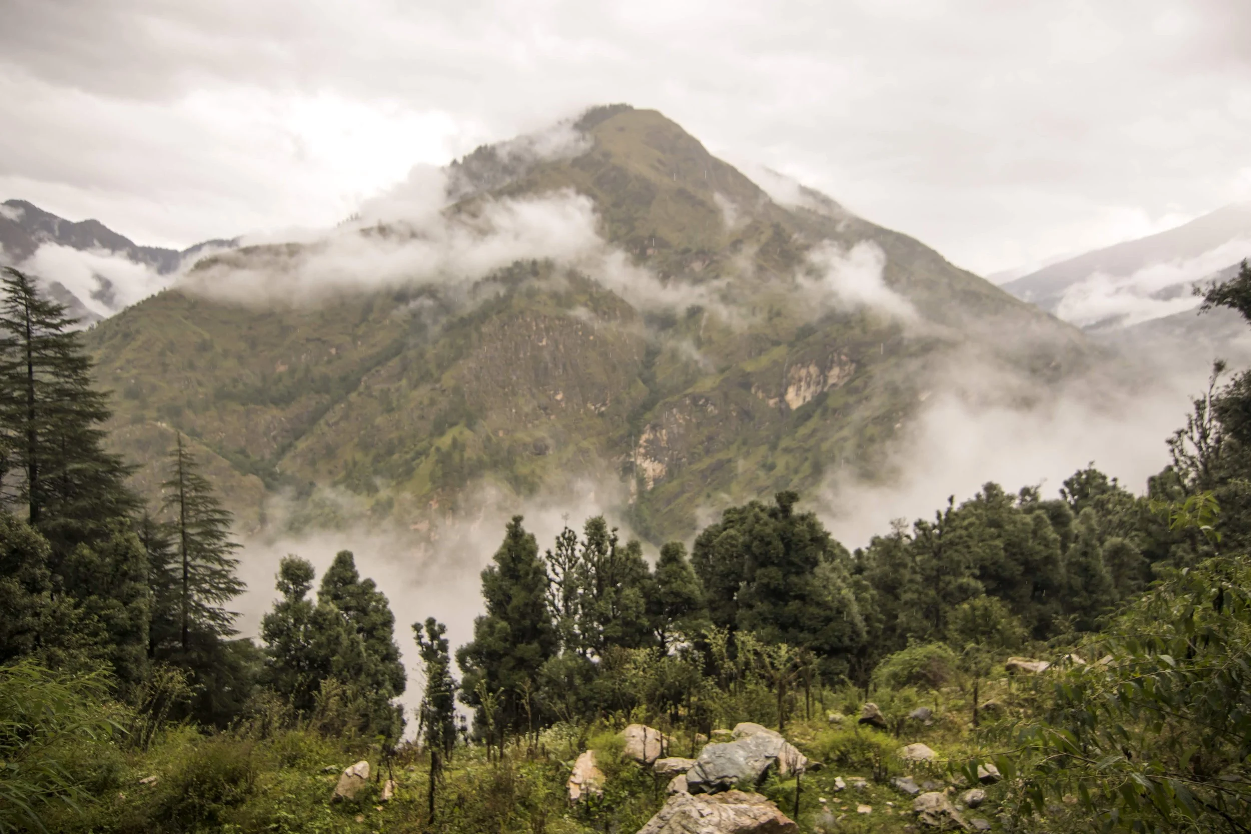 Cloud-covered mountain range with dense green forest and rocks in the foreground.