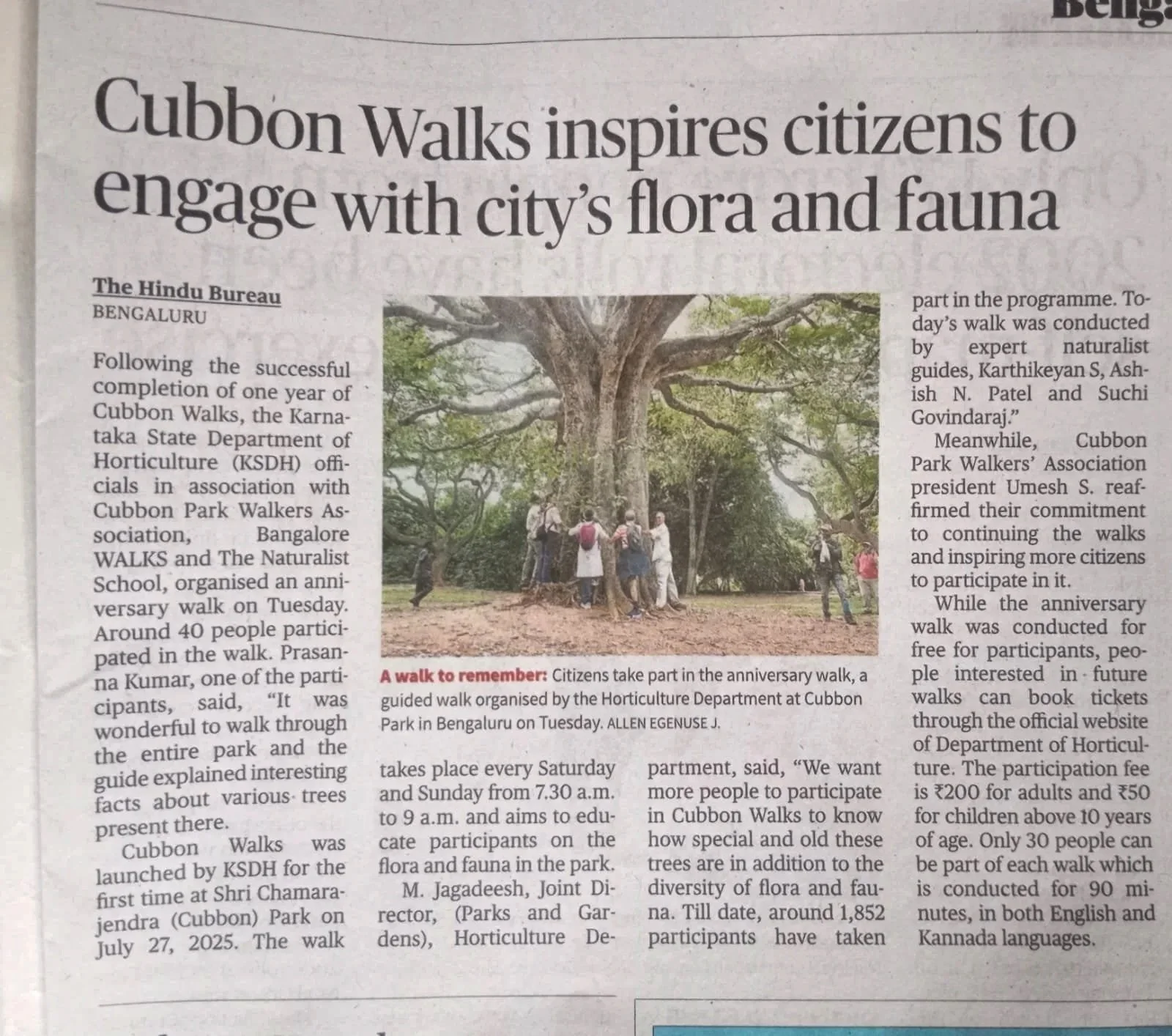 A newspaper article with a photo of people gathered around a large tree during a guided walk in a park, celebrating the park's anniversary.