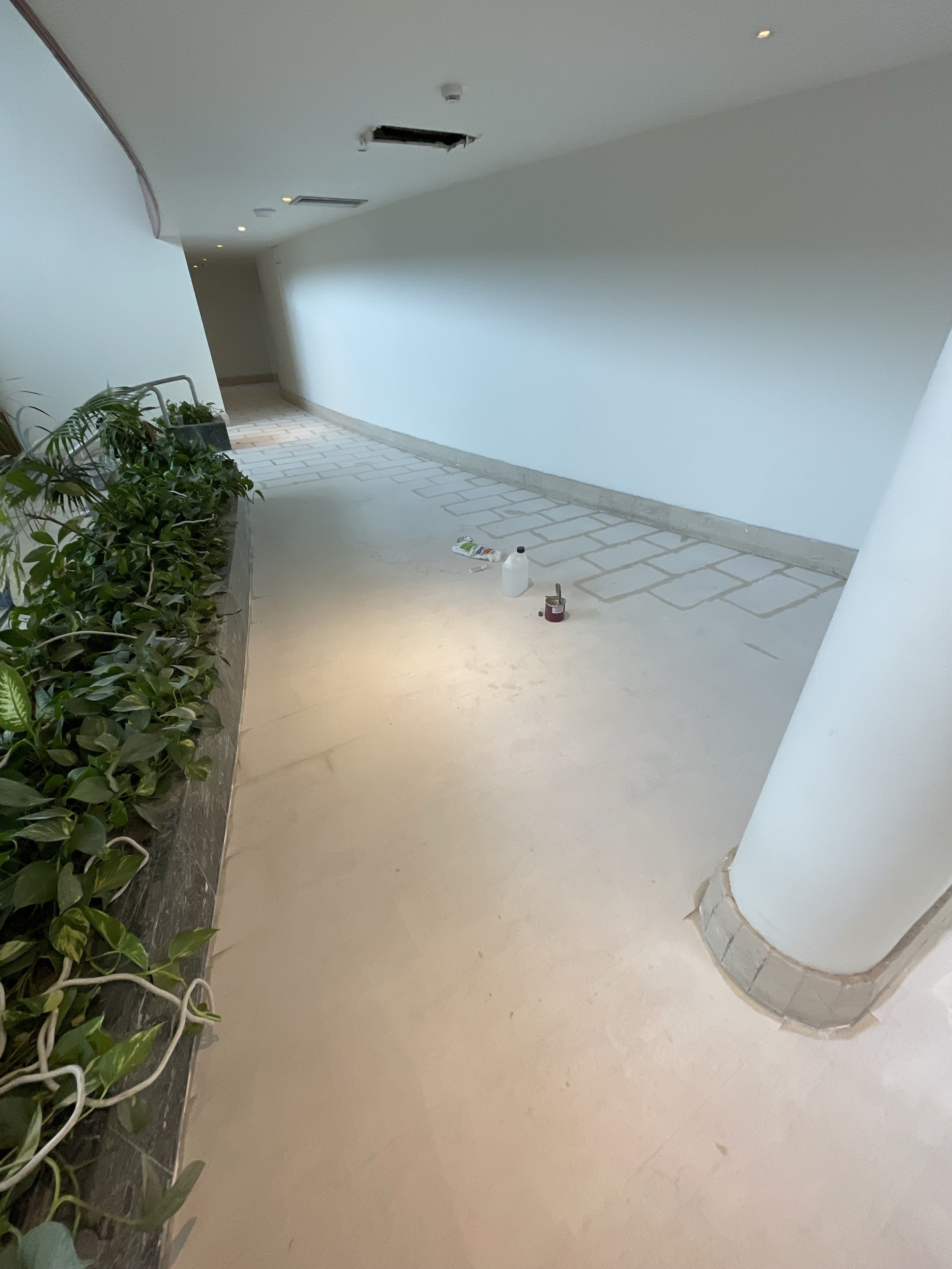 A hallway under renovation with construction materials on the floor, a curved white wall, and a row of plants along the left side.