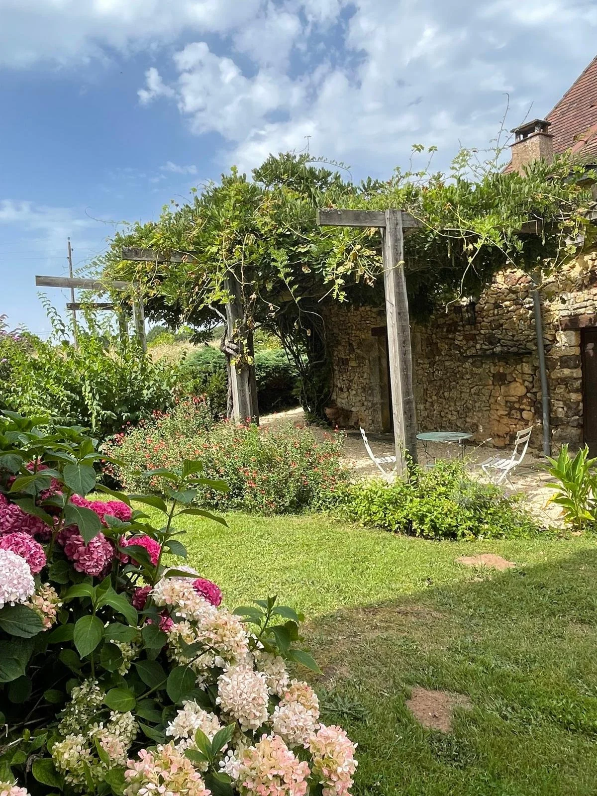 The garden