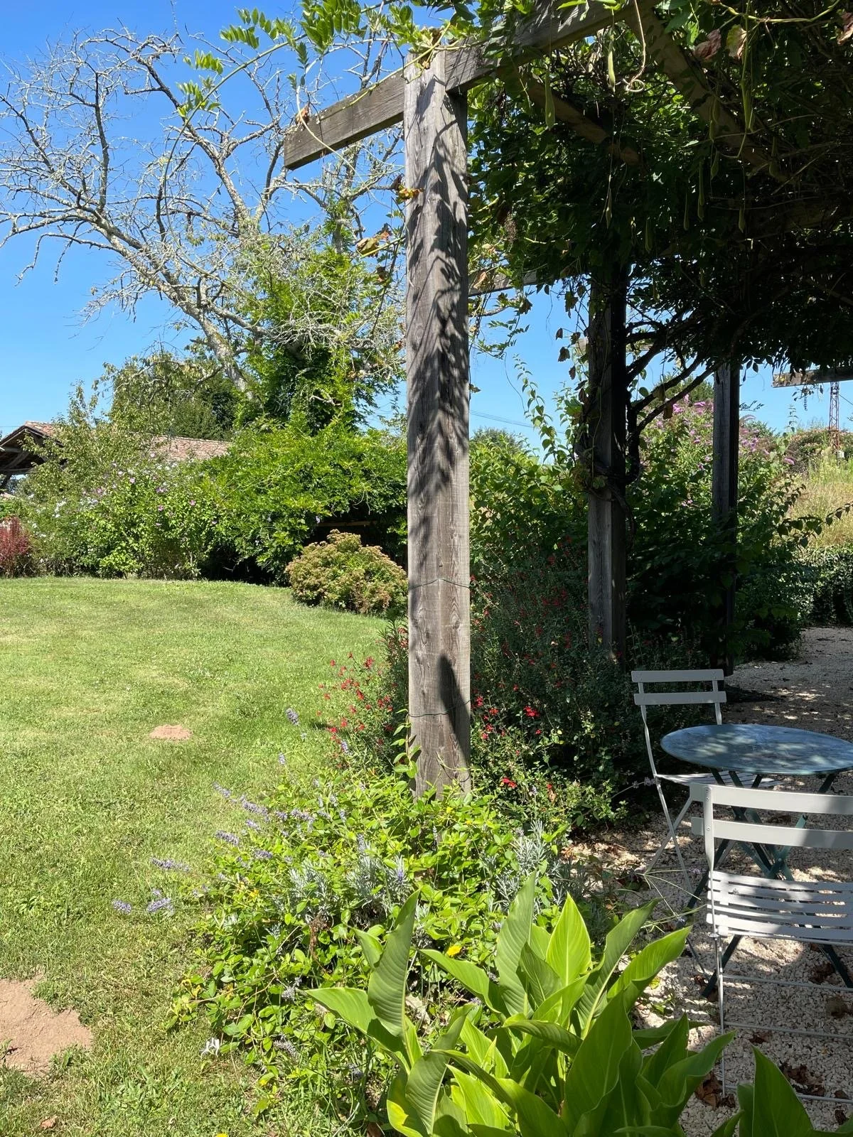 The garden