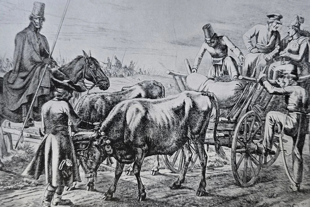 schreckenszeit-1813_verwundetentransport.jpg