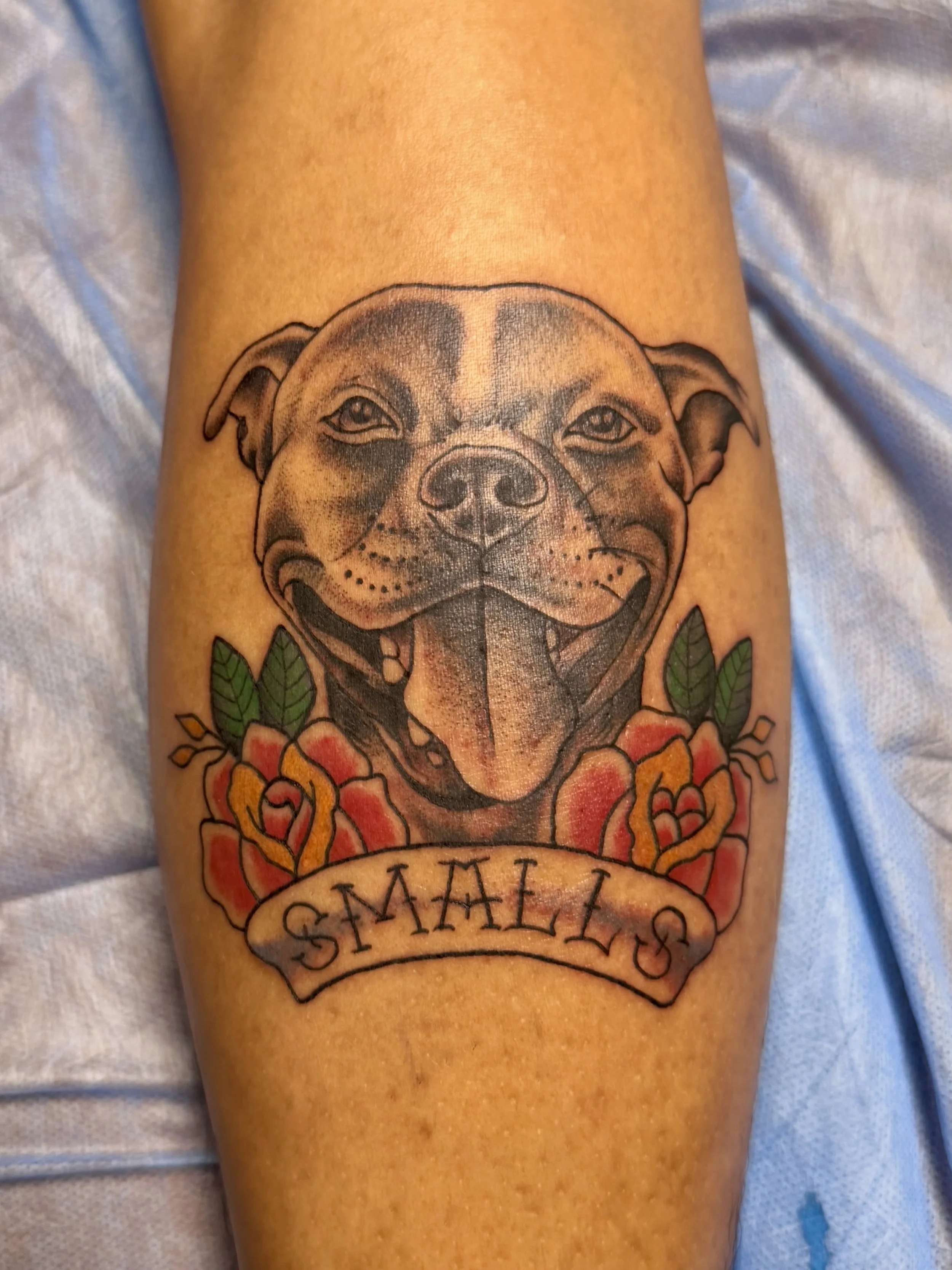 Custom Memorial Pet Portrait