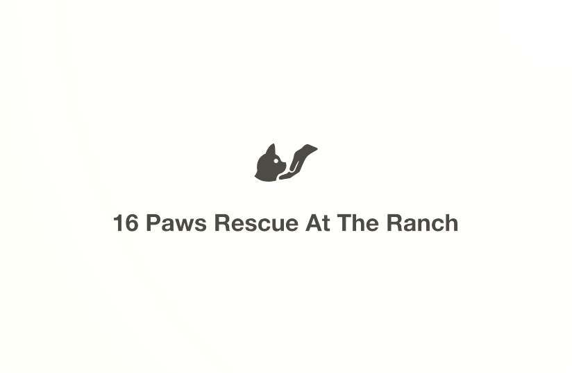 Your Site Title