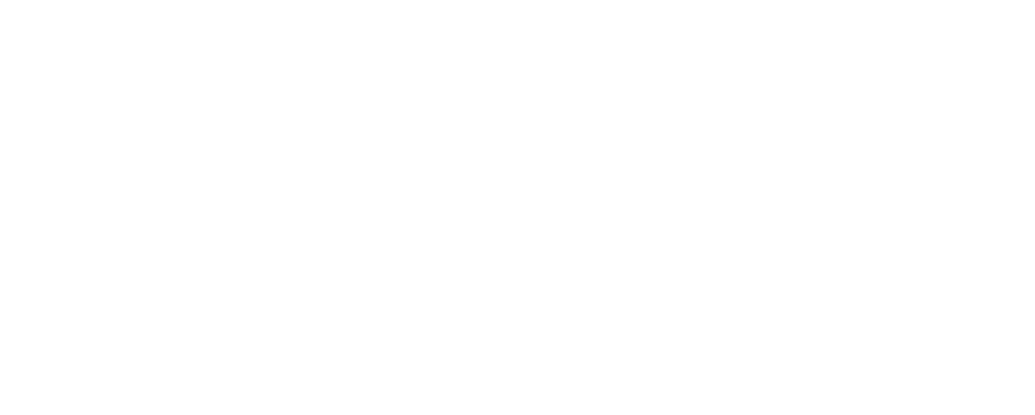 SYMPHONY IN LIGHT