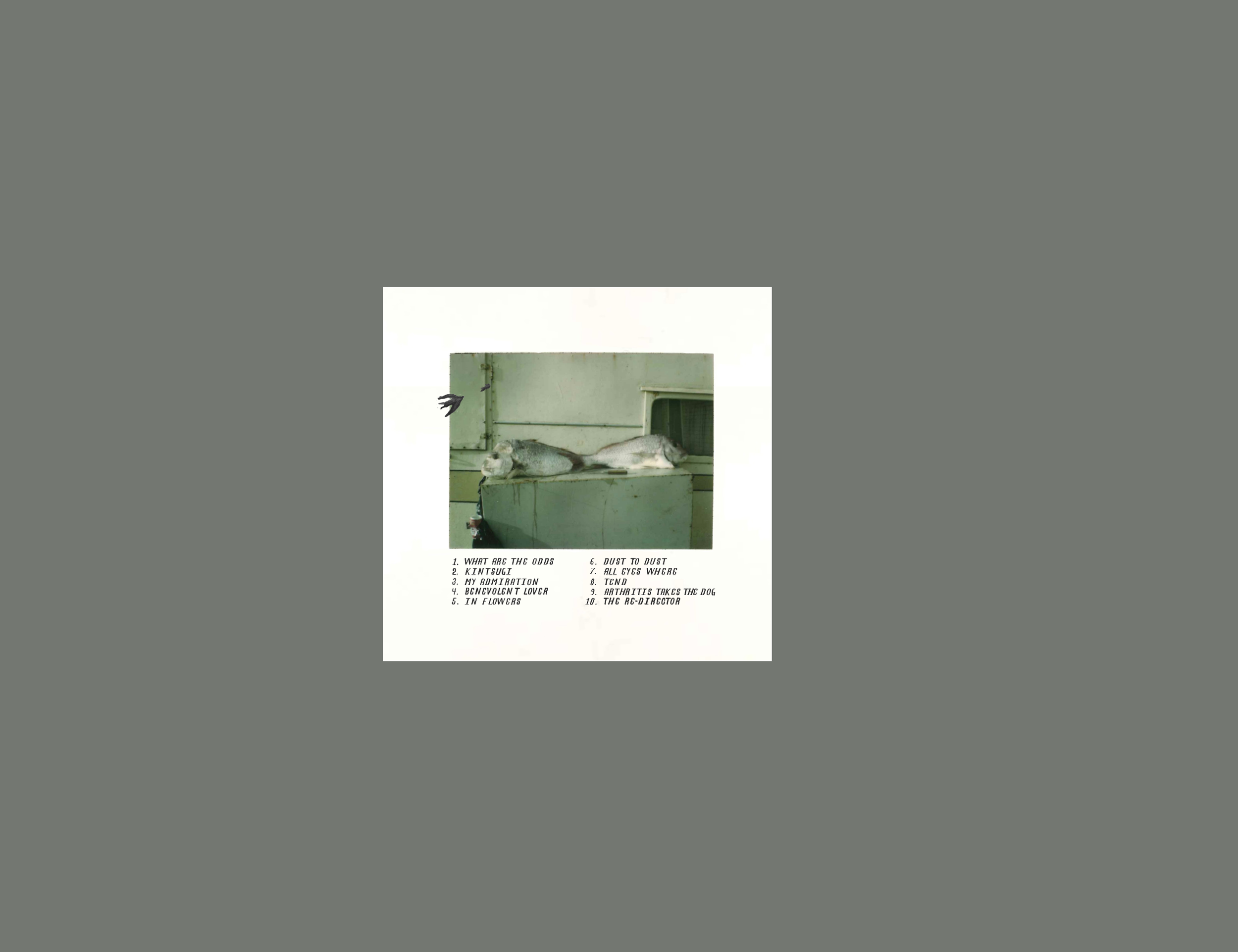 back CD.png