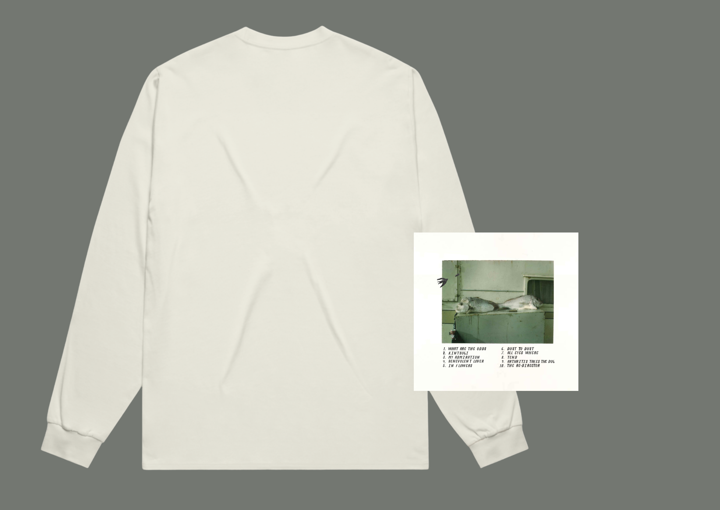 BACK of LS CD bundle.png