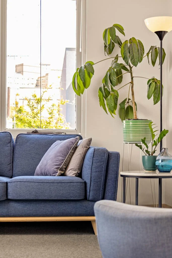 A cozy therapy room with a blue sofa, decorative pillows, a large houseplant, a floor lamp, and a side table with vases.