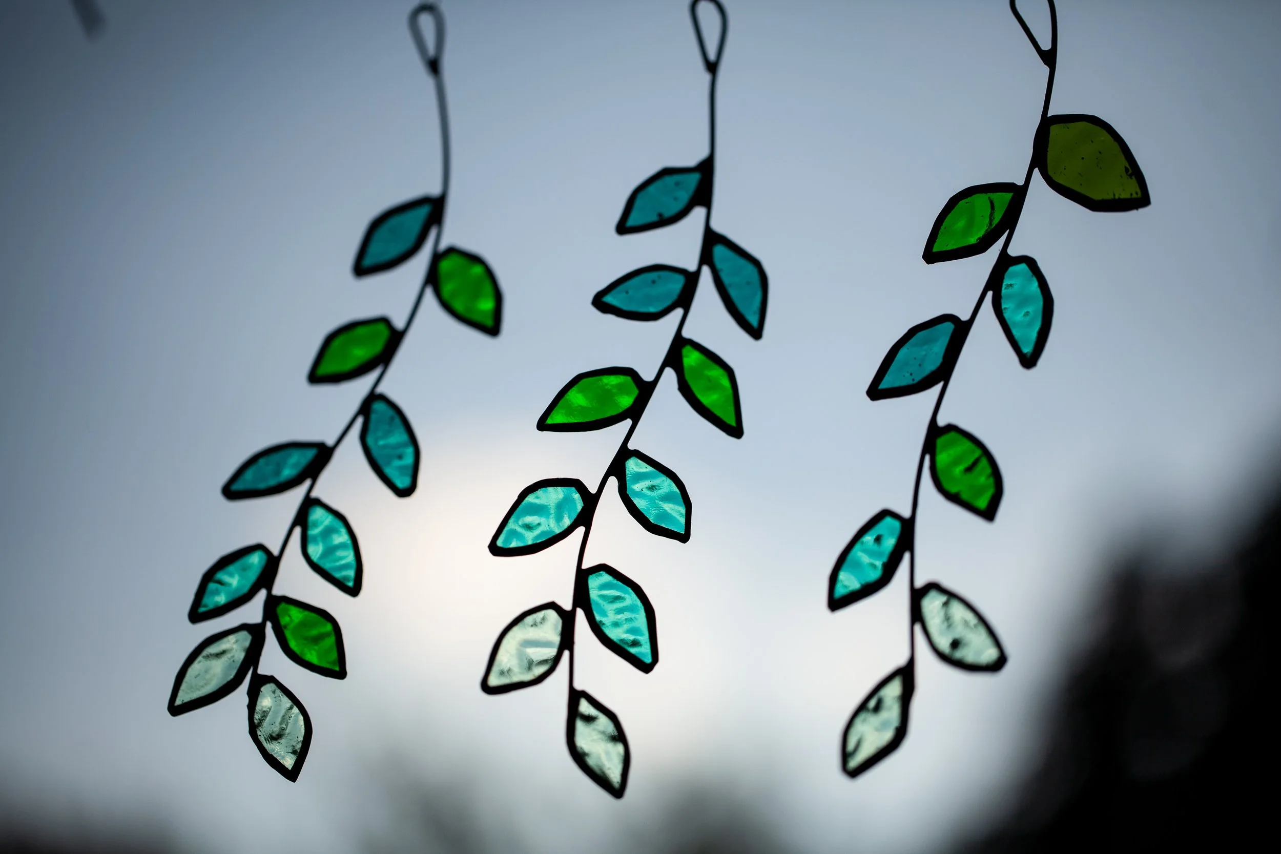 GLS-leaf-all3-1.jpg