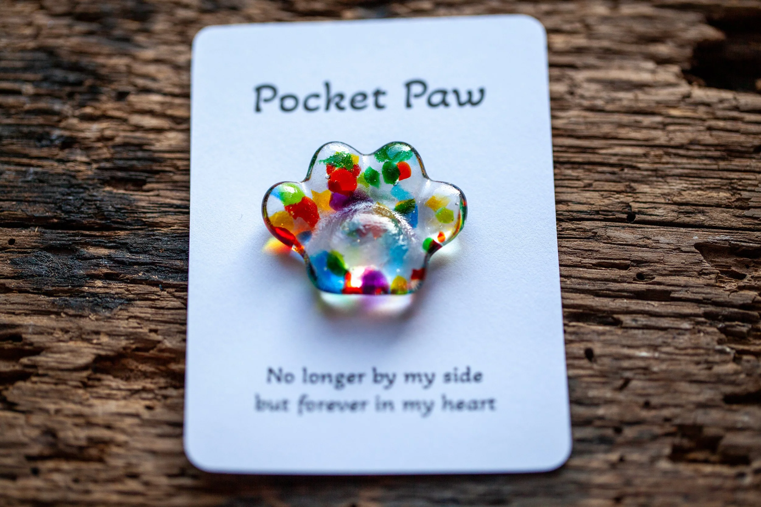 paw-rainbow2.jpg