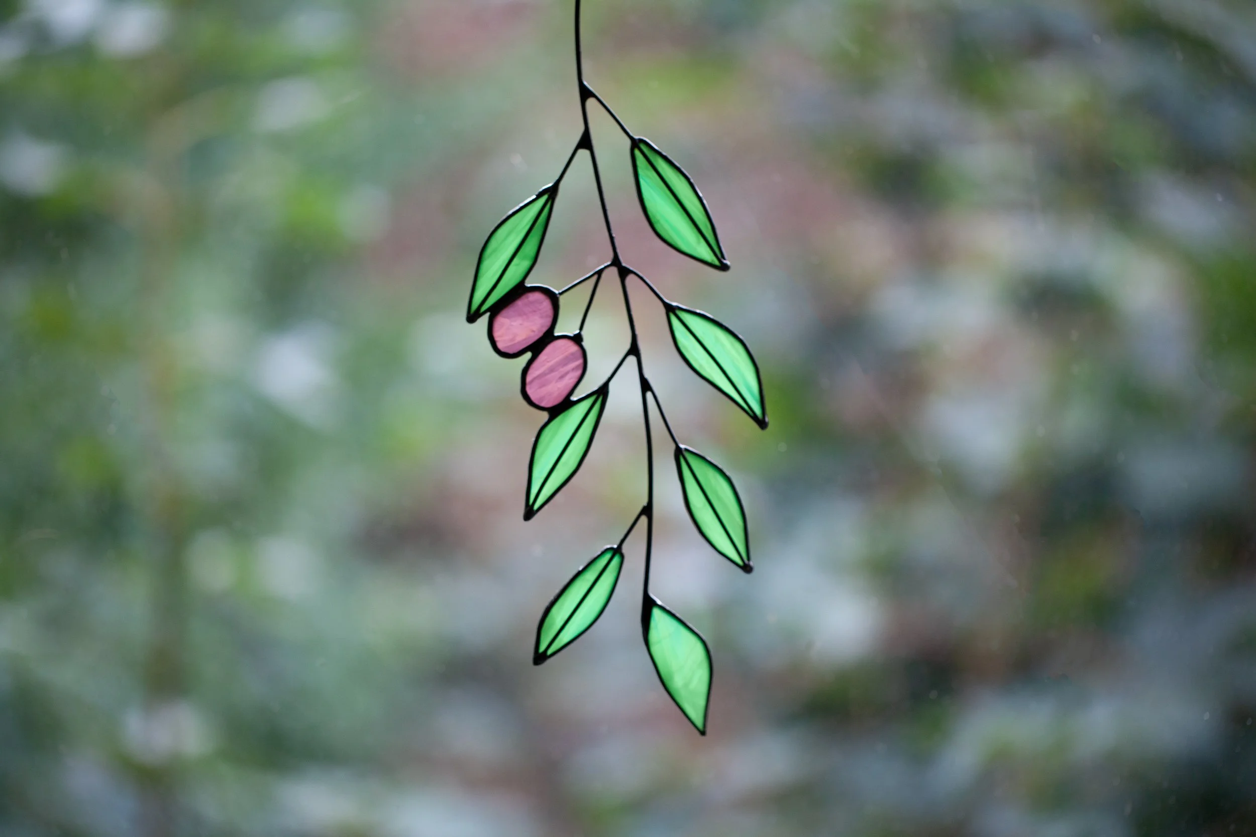 olive.jpg