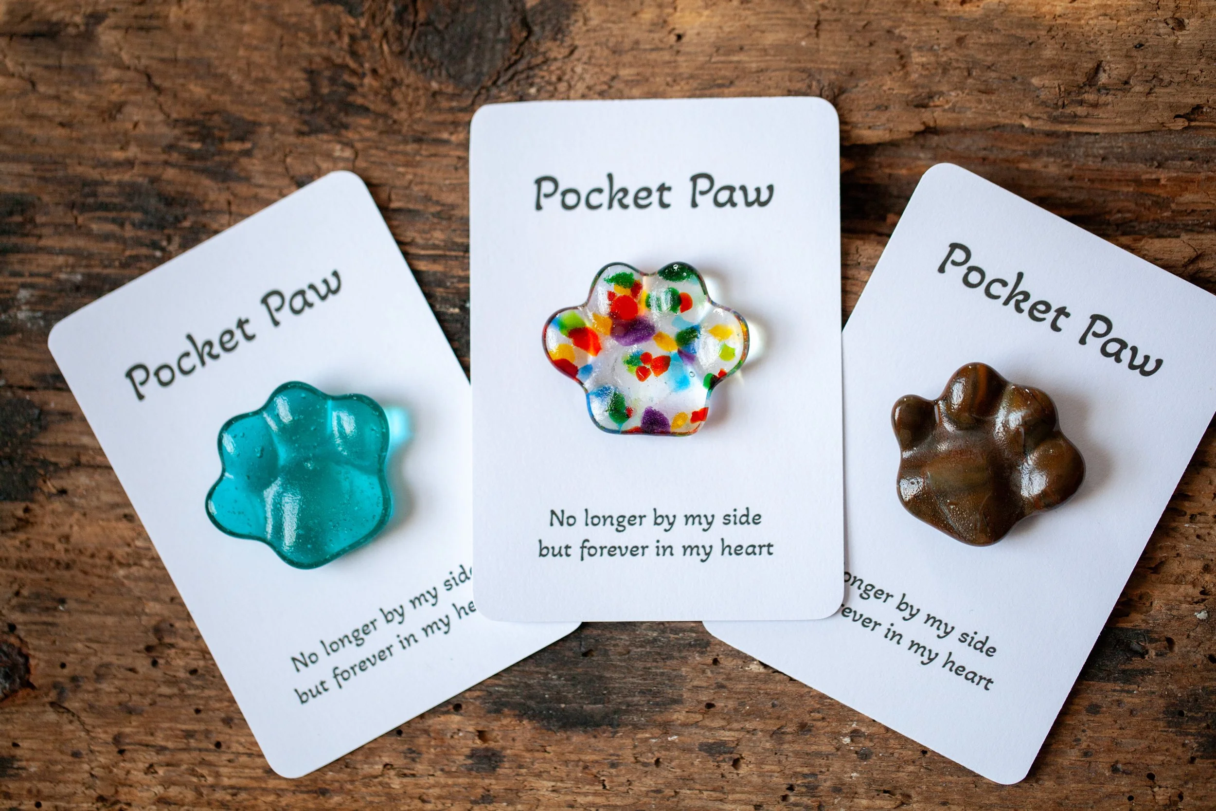 paws3.jpg