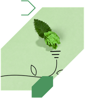 Illustration of a green hop cone with a leaf, depicted as a light bulb filament connected to a wire, symbolizing eco-friendly energy or sustainability.