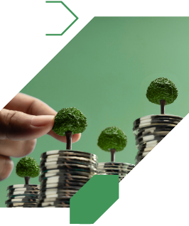 Hand holding a mini tree placed on coins stacked in ascending order against a green background.