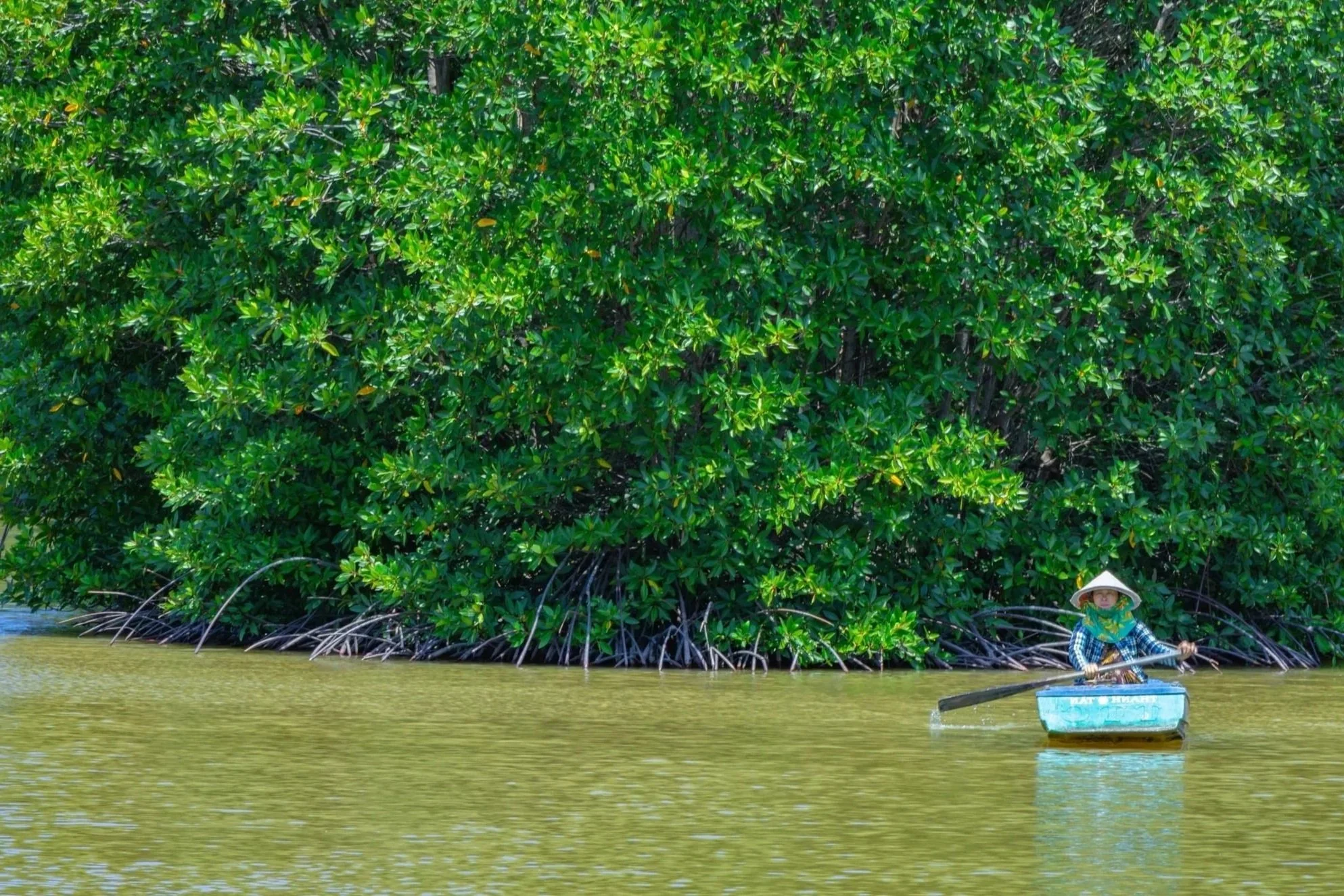 a photo of a fisherwoman paddling a boat in Mekong Delta, used to invite people to register to Climate-Smart Agriculture & Mekong Delta Adaptation event of Vietnam Climate Week