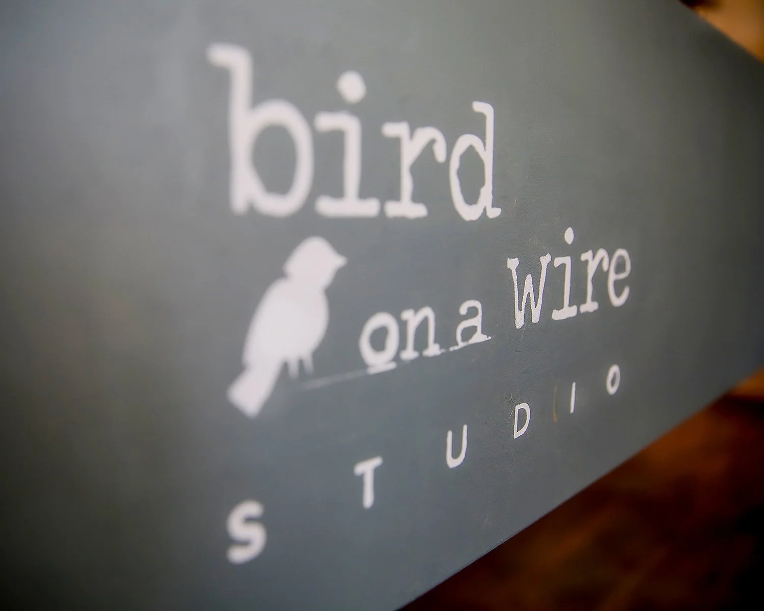 004_Bird on a wire 12.jpg