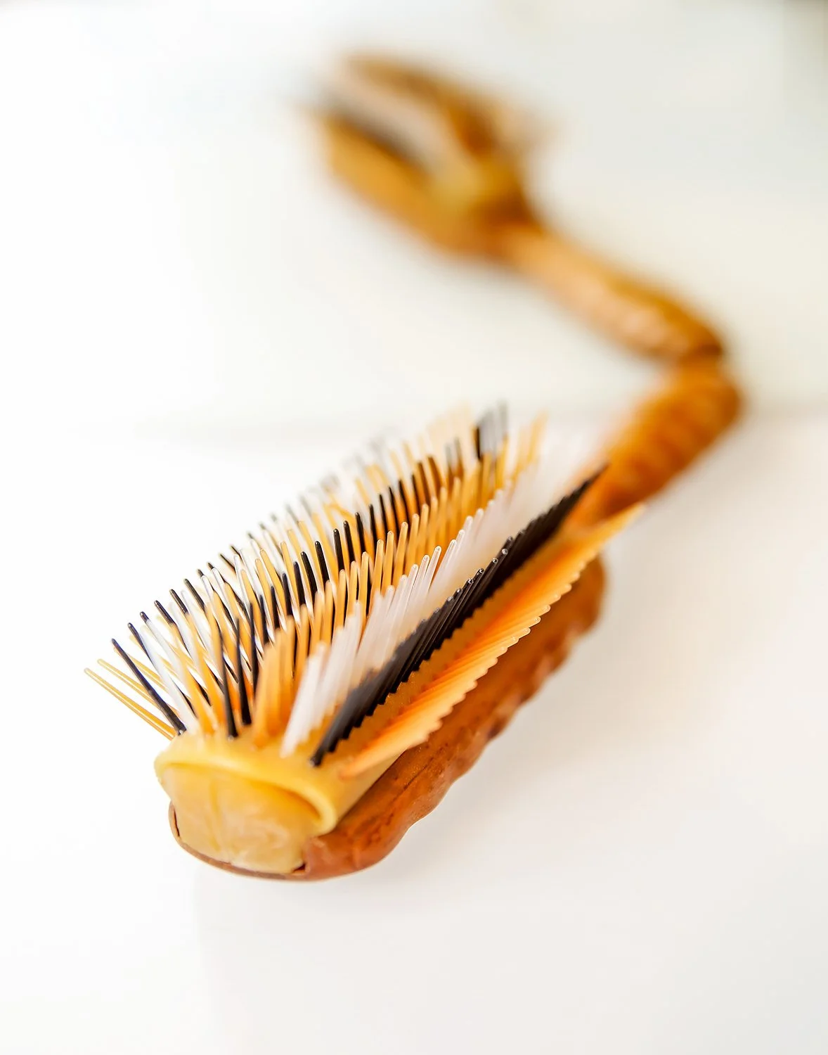 008_brush.jpg