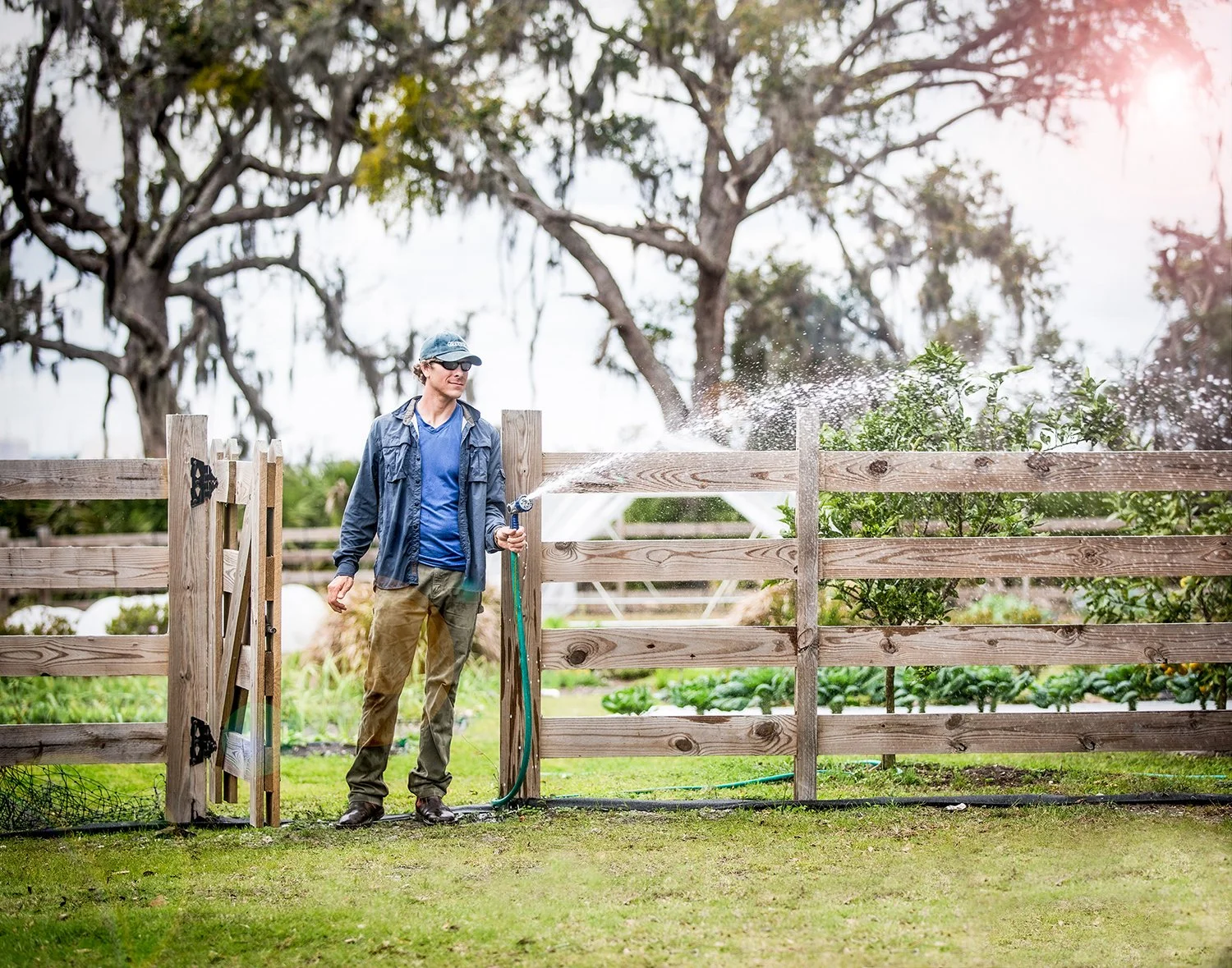 Man Watering Grass with Wooden Fence and Trees in Background