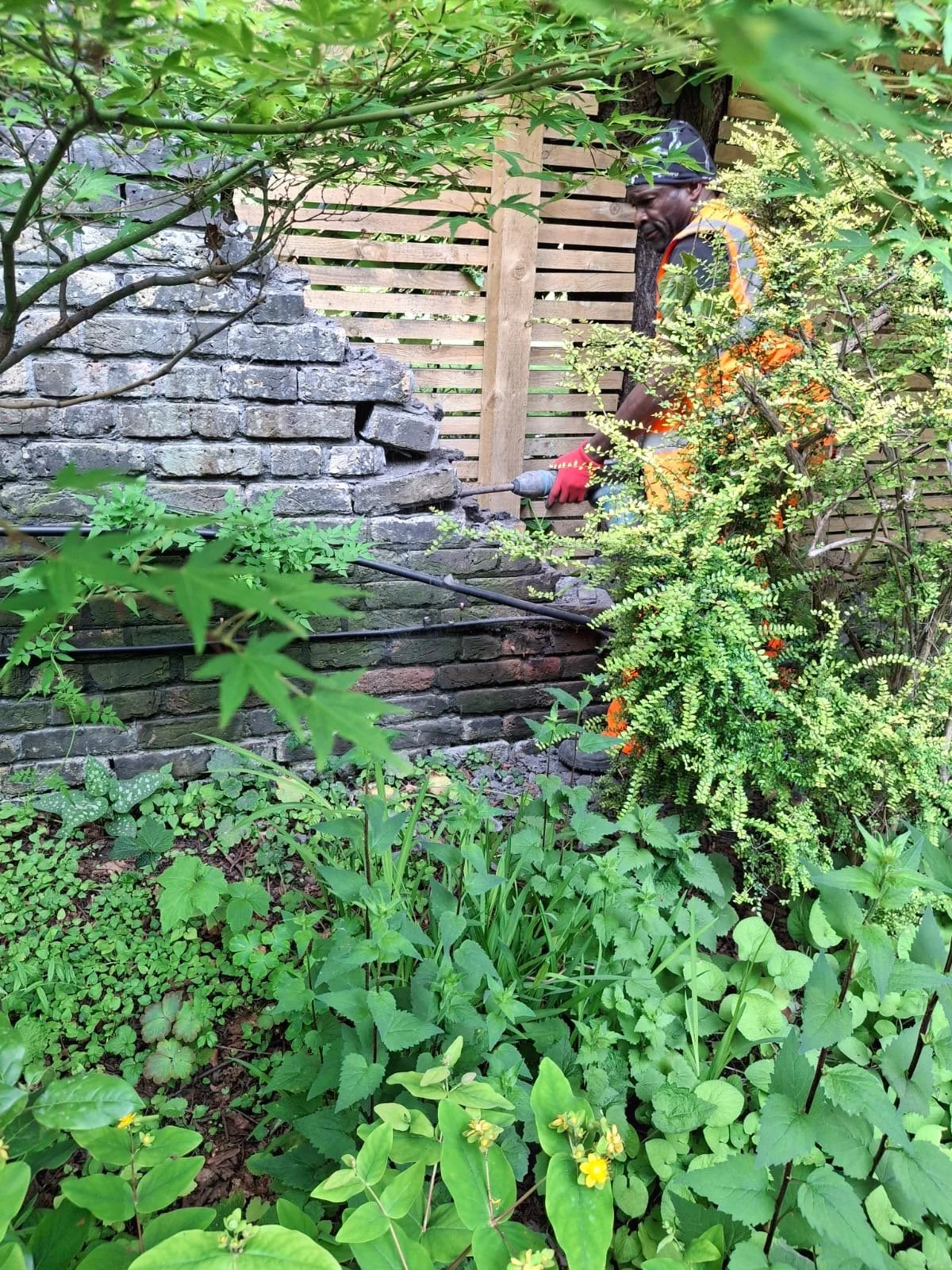hand-dismantling-historic-garden-brick-wall.JPG