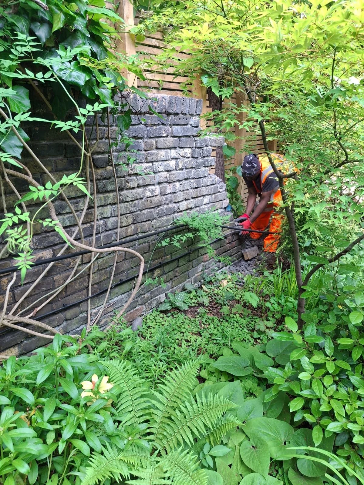 manual-garden-wall-extraction-eddie-bricks.JPG