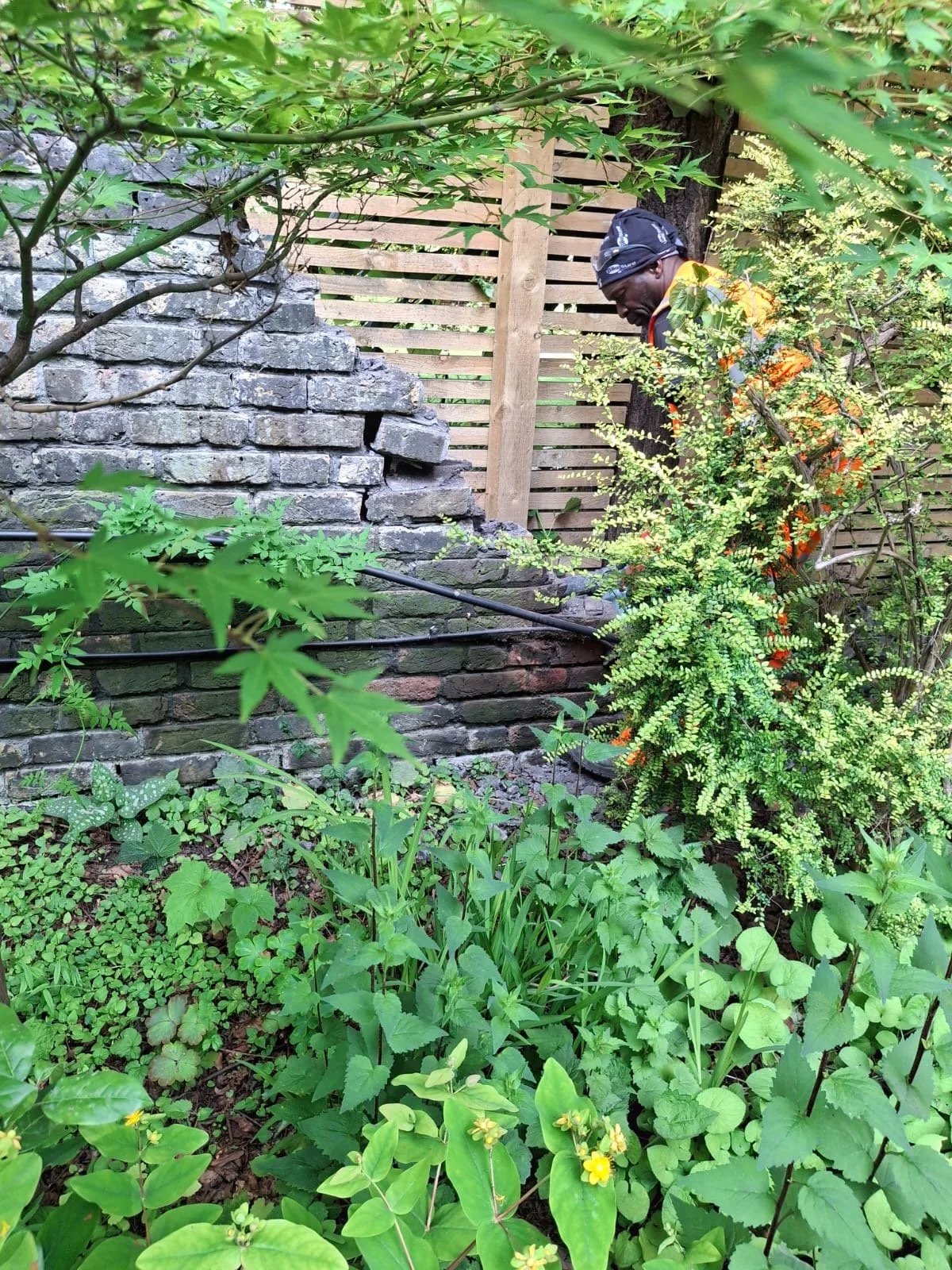 meticulous-hand-dismantling-of-brick-boundary-wall.JPG
