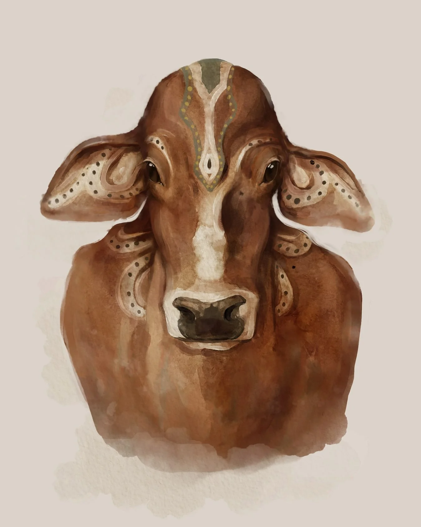 Handsome Kimberley Brahman. 

Station cattle, built for the heat and Grassfed, on North West country.

It's been a long road getting to this point but he's finished and ready for print. 

The start of a series of label artwork across the tallow and m