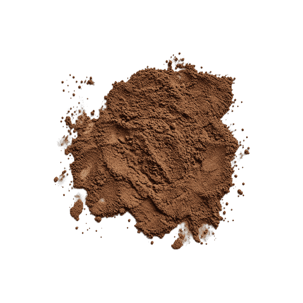 Reishi Mushroom Powder, 25g
