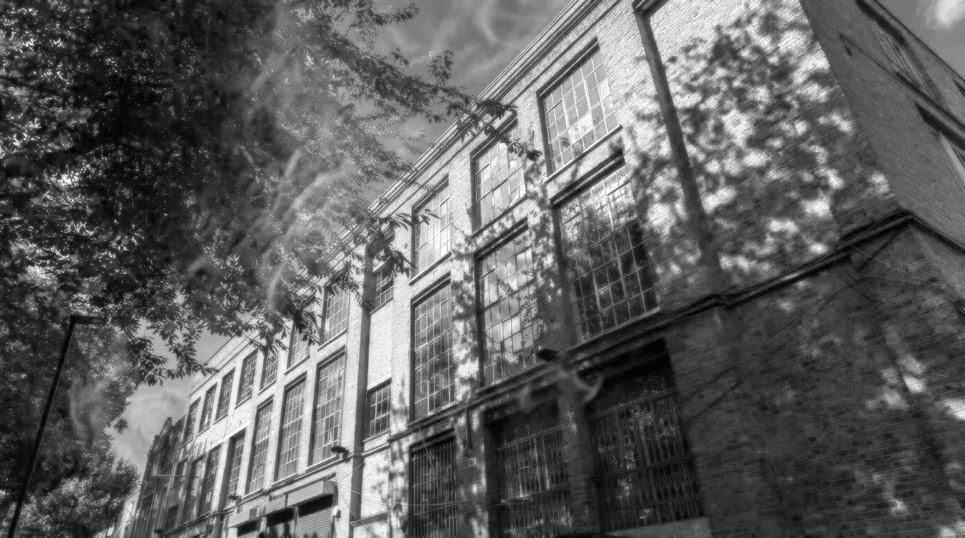 Black and white photo of a large brick building with multiple large windows, partially obscured by tree branches in the foreground.