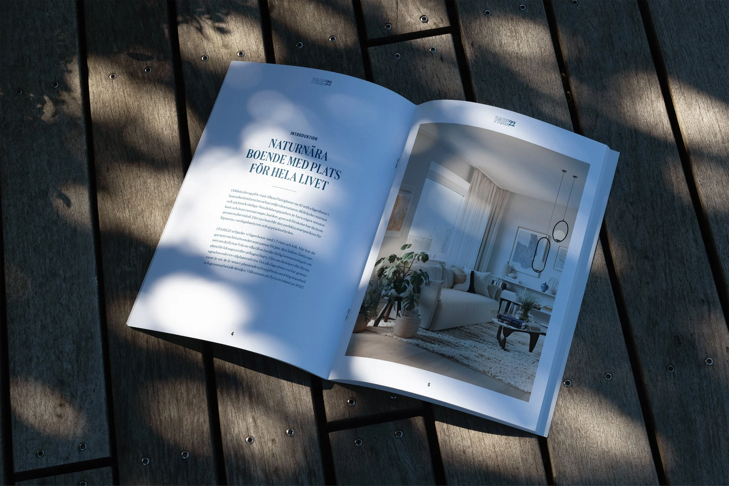 P22 Portfolio mag2.jpg