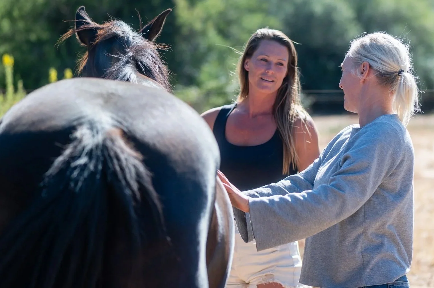Two women and a horse outdoors, with the women petting and interacting with the horse.